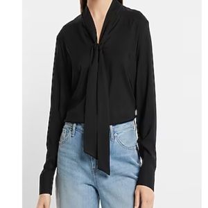 Express V-Neck Tie Neck Long Sleeve Top